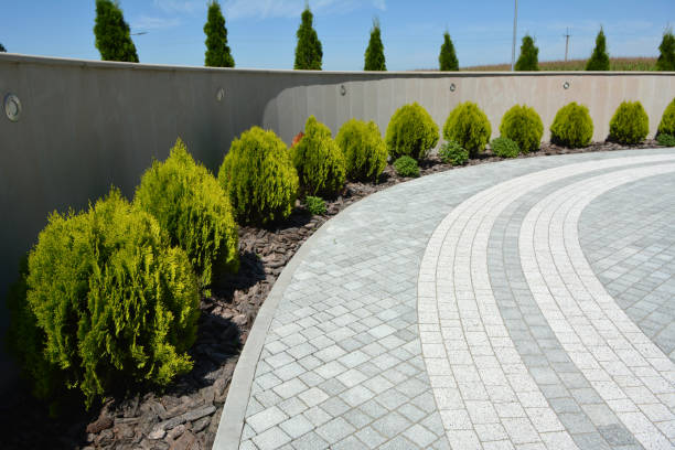 Reasons to Select Us for Your Driveway Paving Requirements in Richland, GA